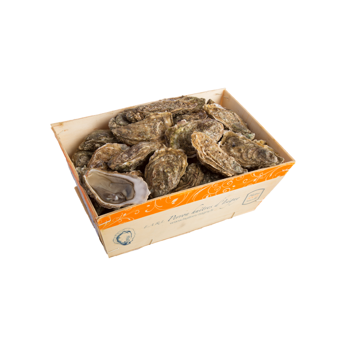 Oysters - Isigny N°3 - 77
