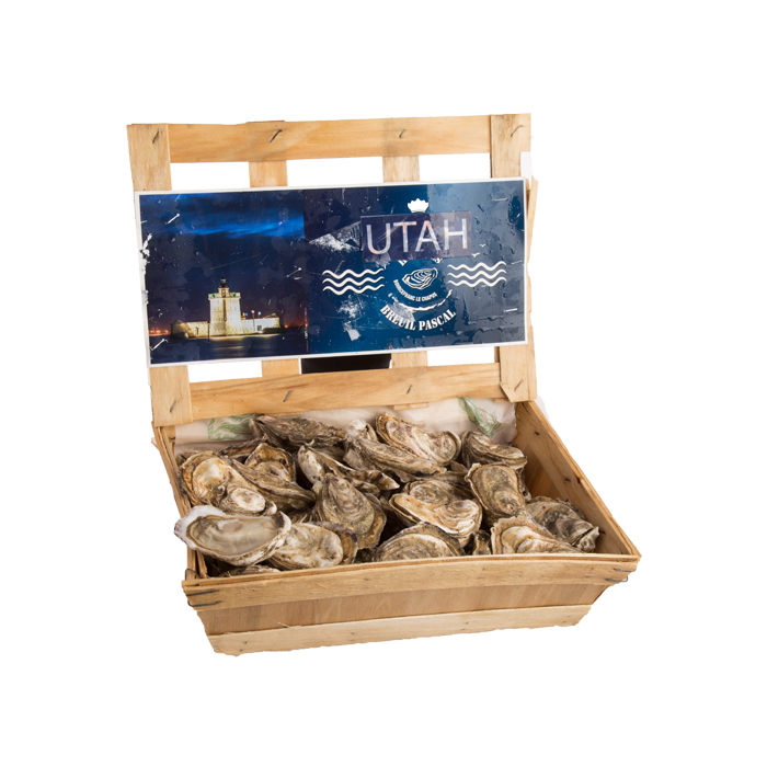 Oysters - Speciale Utah N° 3 - 77